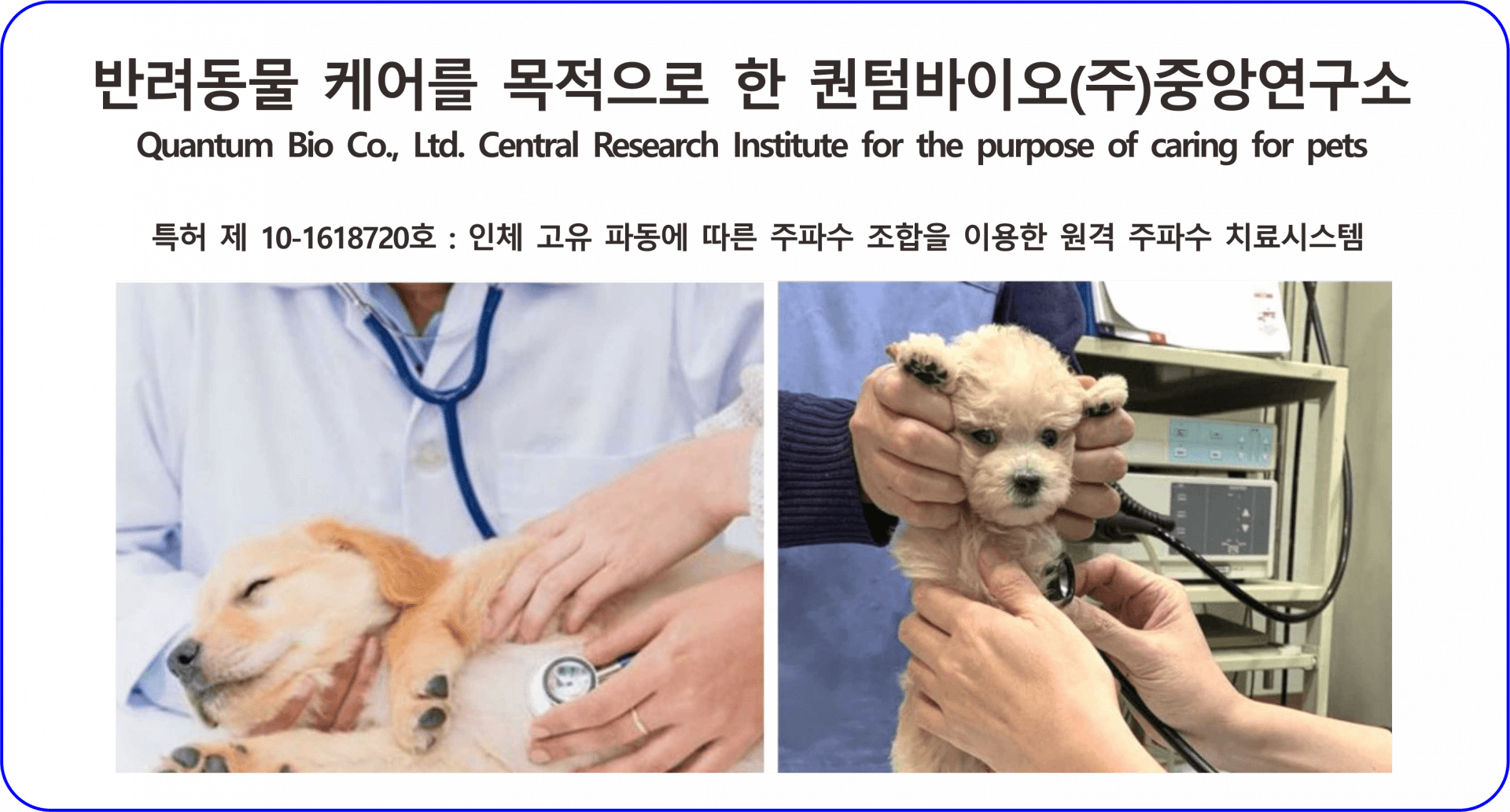 Q.T 반려동물 의료기기