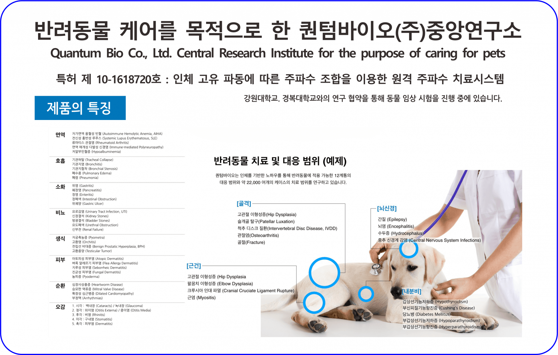 Q.T 그래핀 주파수매트