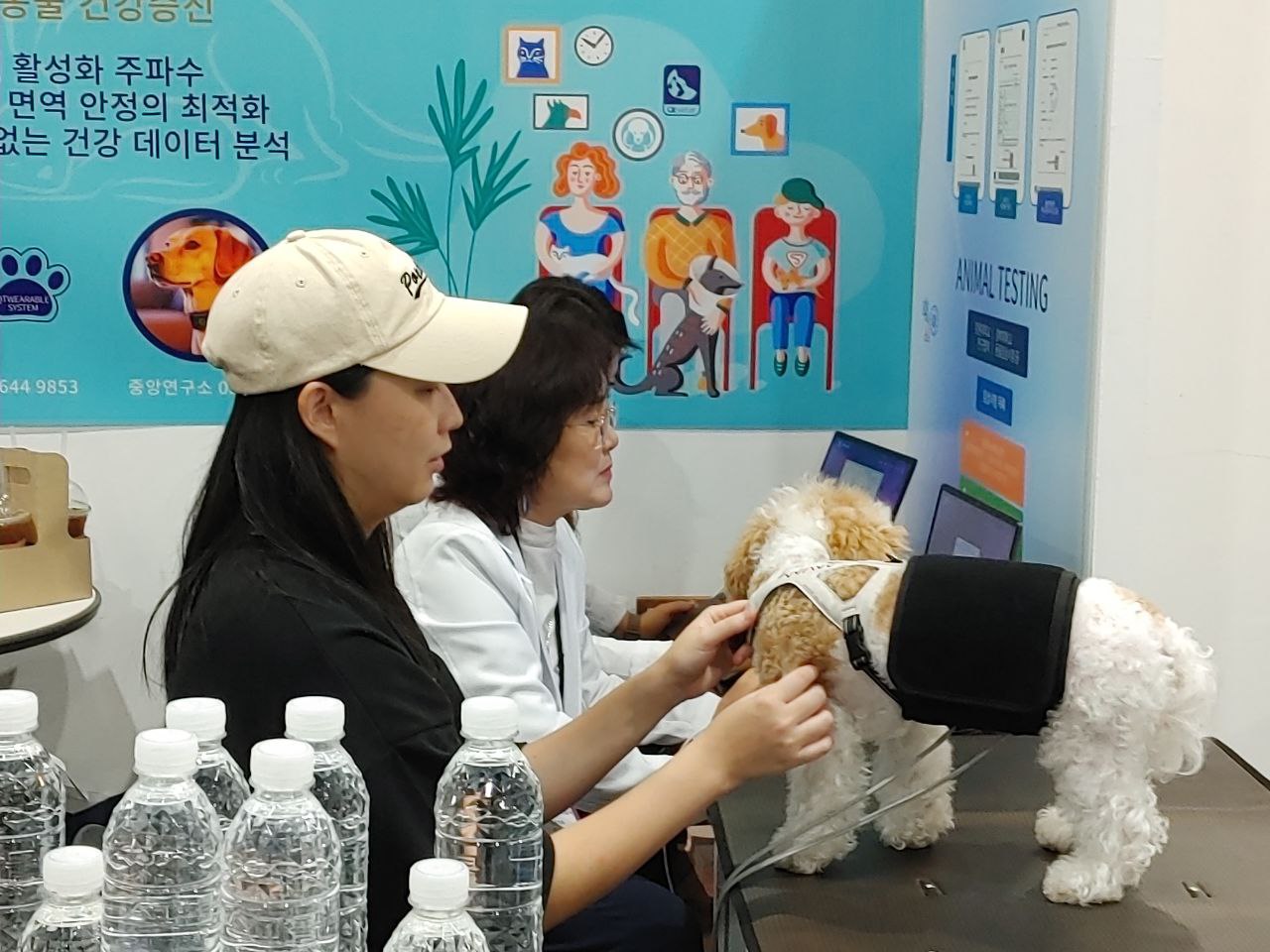 고통 없는 진단과 치료를 향하여