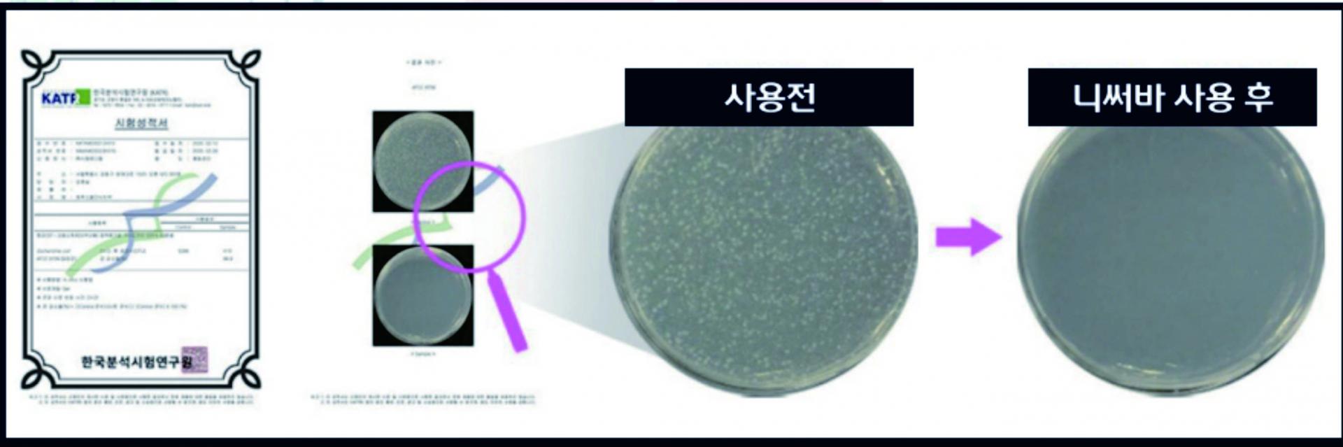 퀀텀바이오